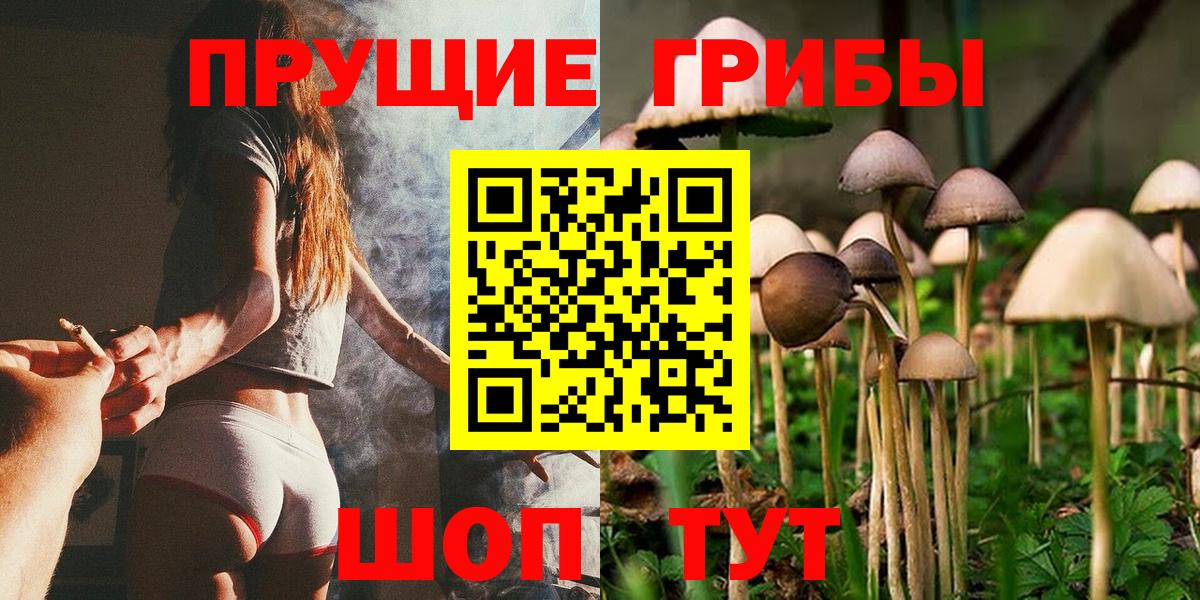 Галлюциногенные грибы Cubensis  Вход с VPN  Коммунар 