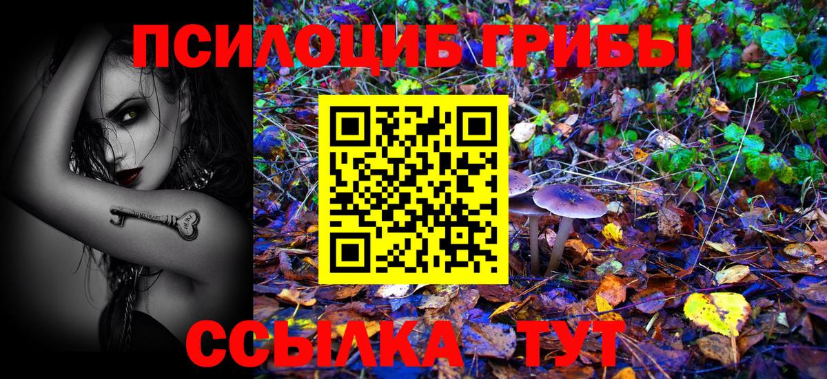 Галлюциногенные грибы ЛСД Коммунар
