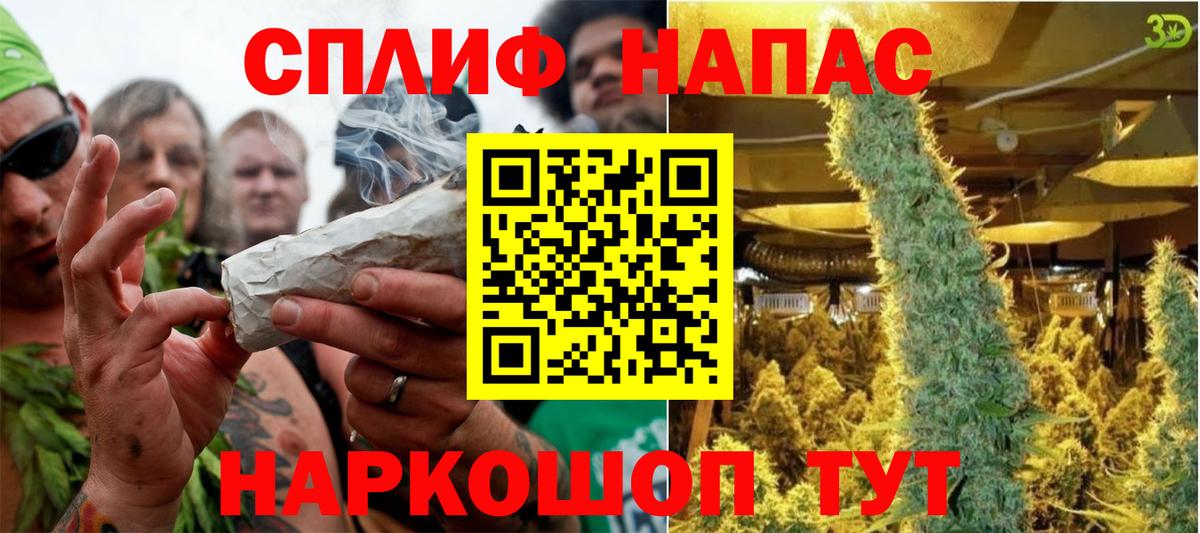 Марихуана сатива Коммунар